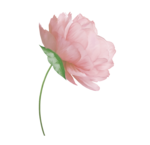  Noshay_Yes_El12 (700x678, 139Kb)