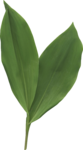  Noshay_Yes_El27 (387x700, 186Kb)