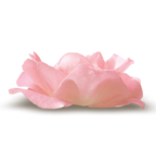  Noshay_Yes_El65b (672x700, 173Kb)