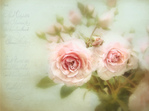  6268814296_ac8c61fcbf_b (700x521, 136Kb)