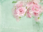  6187647591_eaf62bc7b3_b (700x523, 172Kb)