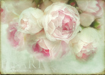  5841094317_b191983872_b (700x494, 206Kb)