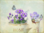  5588589151_72c94e48a3_b (700x525, 181Kb)