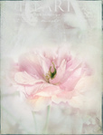  5571899082_3fe2ca93d3_b (532x700, 131Kb)
