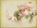  5358445432_30e30c1152_b (700x525, 200Kb)