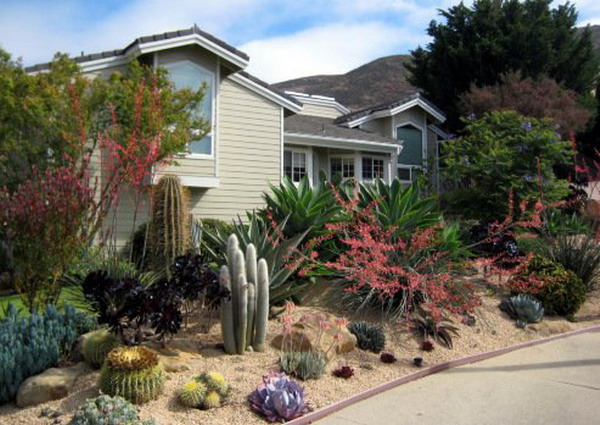 4497432_gardeninspirationbygabrielsucculent15 (600x425, 96Kb)