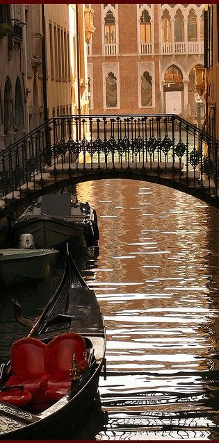 Grand Canal in Venice (315x638, 285Kb)