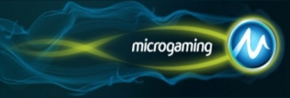 microgaming-network-management-board-nmb 1 (588x200, 76Kb)