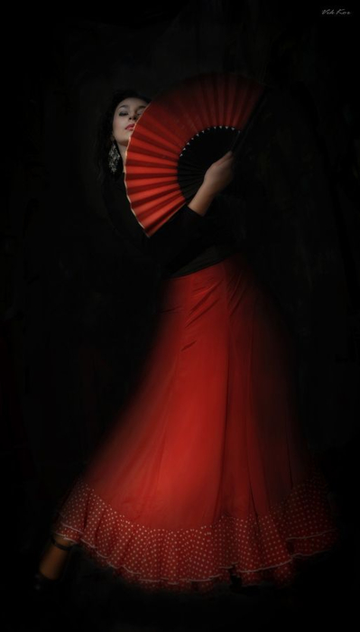 Flamenco by Viktor Korostynski, (399x700, 112Kb)