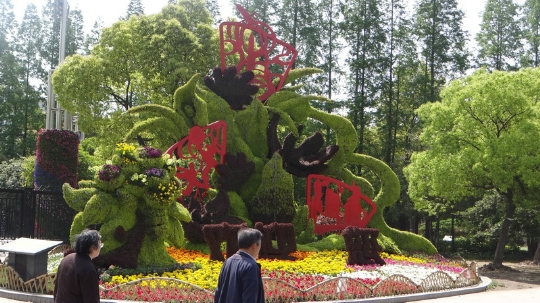 ботанический сад Шанхай 7 (540x303, 251Kb)