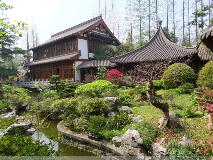 ботанический сад Шанхай 13 (700x524, 458Kb)