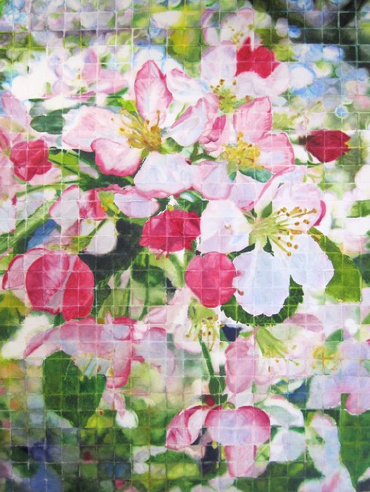 Blossoms Squared (527x700, 530Kb)