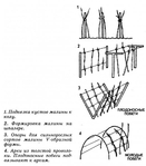  formirovka_kustov_maliny (527x600, 115Kb)