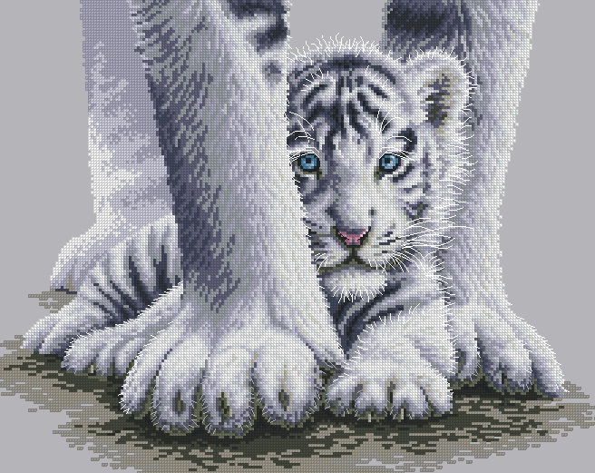 tigr1 (656x521, 167Kb)