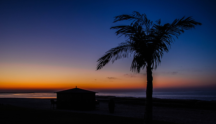 Desert Island, Sir Bani Yas (700x400, 207Kb)