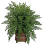  Summer Garden (5) (500x523, 499Kb)
