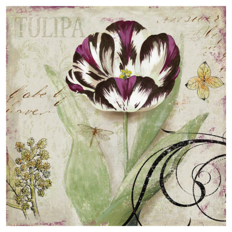 aimee-wilson-tulipa-ii (473x473, 92Kb)