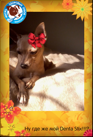 card.46.user.134466.slide.1 (298x442, 80Kb)