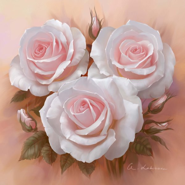 white_roses_by_zvepywka-d3b9f6n (600x600, 48Kb)