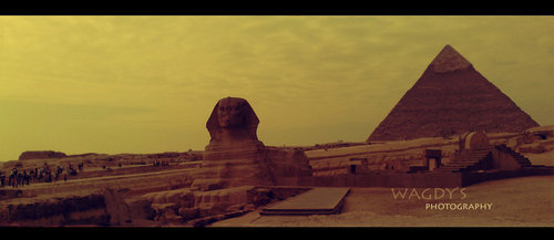 2834233_sphinx_by_moh9d4acgli_large (500x217, 21Kb)