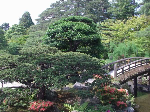 IMG_373Jpn (600x450, 93Kb)