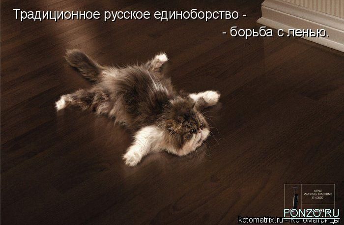 41630403_3_kotomatrix_25 (700x458, 51Kb)