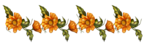  flower_border (700x225, 128Kb)