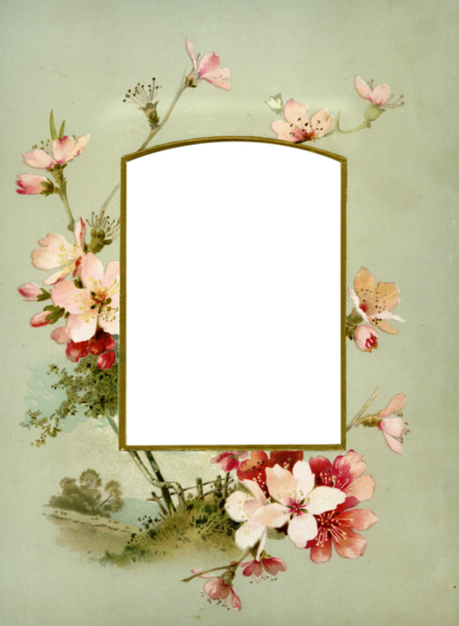 Floral_Frame_No8_by_DustyOldStock (512x700, 312Kb)