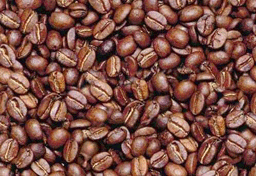 coffee[1] (256x176, 50Kb)