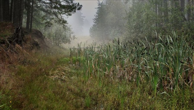 10 (670x382, 82Kb)