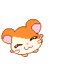 3 (90x90, 31Kb)