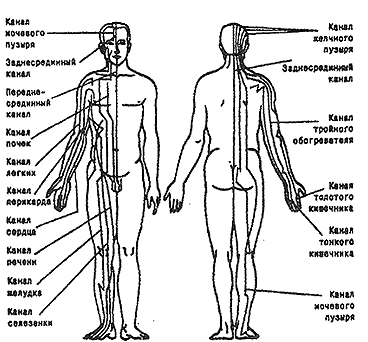 схемы меридианов на теле человека