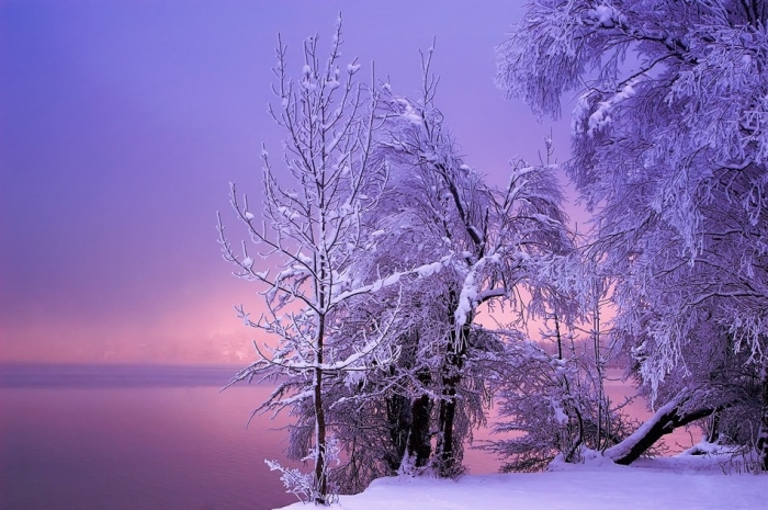 красивый зимний пейзаж