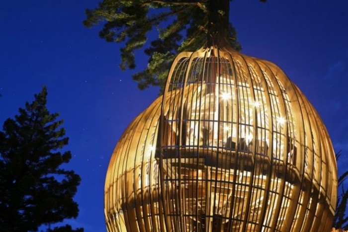 Ресторан на дереве Yellow Treehouse в Окленде