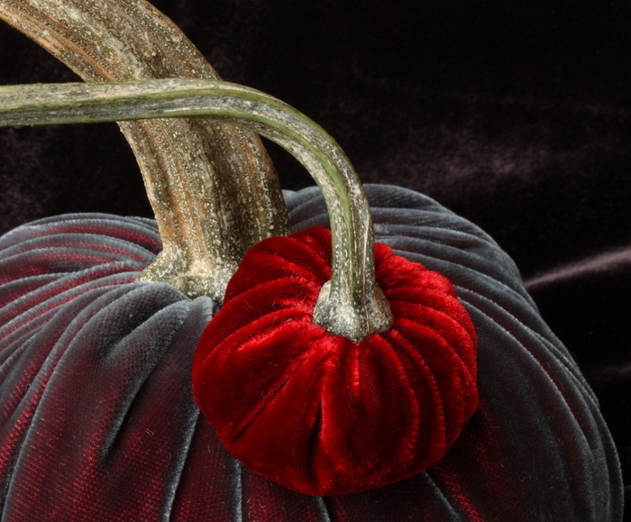 velvet_pumpkin_11[7] (700x579, 108Kb)