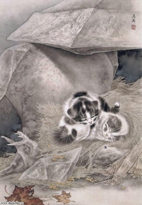 Кошки художника Сюй Синьци (5) (485x700, 84Kb)