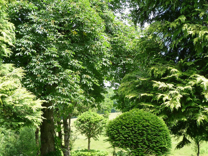 Сады поместья Эриньяк /Les Jardins du Manoir D'Eyrignac 68647