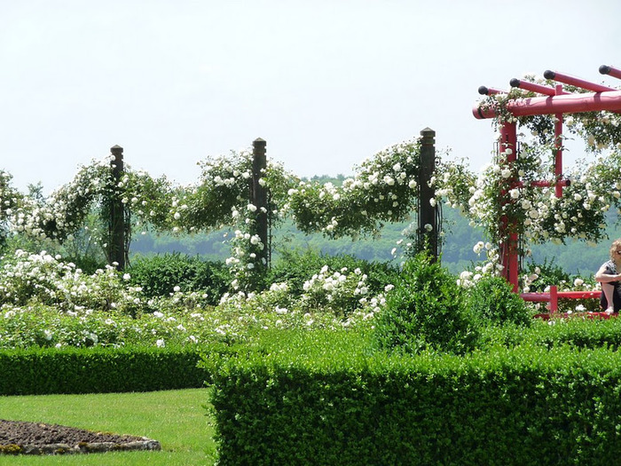 Сады поместья Эриньяк /Les Jardins du Manoir D'Eyrignac 43817