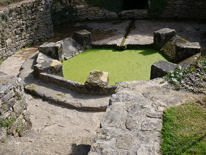 Сады поместья Эриньяк /Les Jardins du Manoir D'Eyrignac 67716