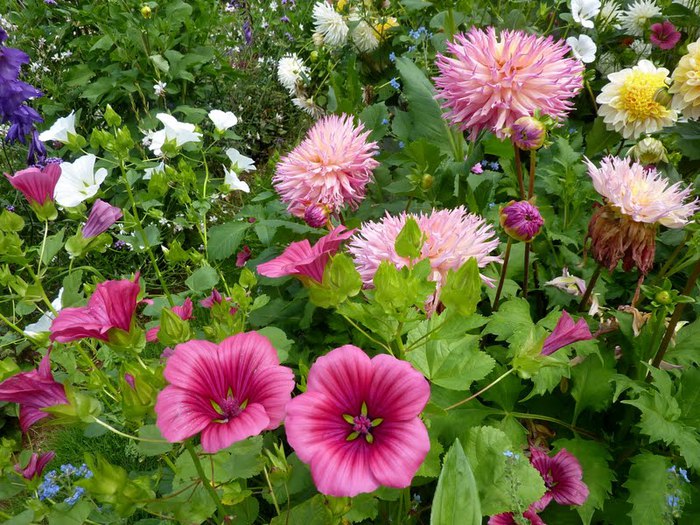 Сады поместья Эриньяк /Les Jardins du Manoir D'Eyrignac 93219