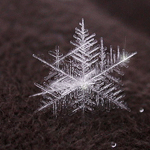 Превью snowflake003 (150x150, 45Kb)