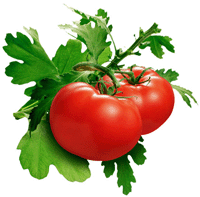 tomatoes  (200x197, 18Kb)