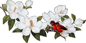 - (300x150, 45Kb)