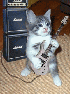cat_and_gitar (240x320, 83Kb)