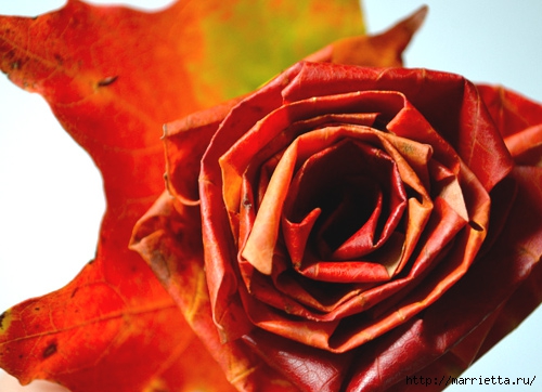 diy_leaf_rose_1 (500x362, 136Kb)