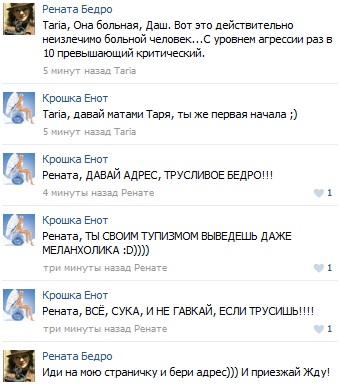 ВЫСЕР_ЕНОТА_2 (339x386, 53Kb)