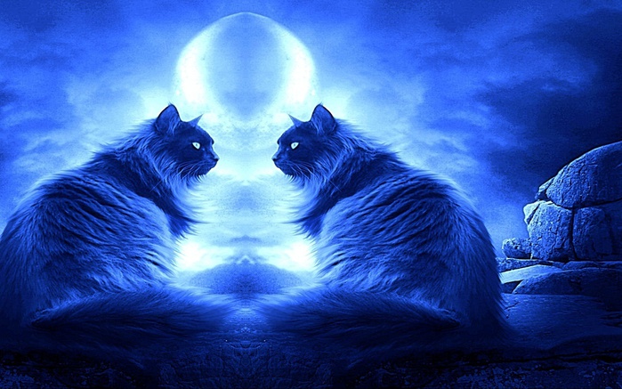 Romancing-Night-cats-16249934-1280-800 (700x437, 131Kb)