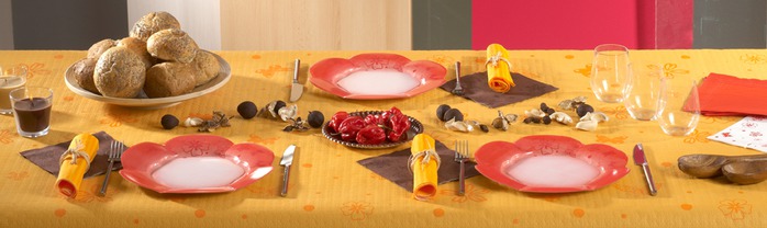Very-nice-tableware-for-summer-picnic-by-Tifany-Industries-4 (700x208, 48Kb)