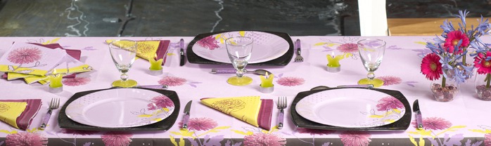Very-nice-tableware-for-summer-picnic-by-Tifany-Industries-11 (700x208, 54Kb)