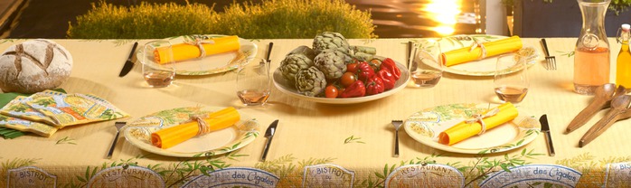 Very-nice-tableware-for-summer-picnic-by-Tifany-Industries-12 (700x208, 60Kb)
